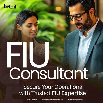 Consulting Services for Businesses Needing Expert FIU Guidance Today